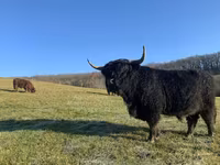 Toro, Highland — foto 1