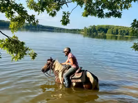 Horse (M), Pinto horses — photo 3