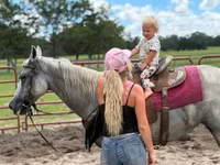 Stute, Quarter Horse — Foto 3