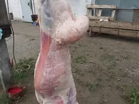 Мясо баранина тушкой — الصورة 1