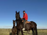 母马, Friesian — 照片 8