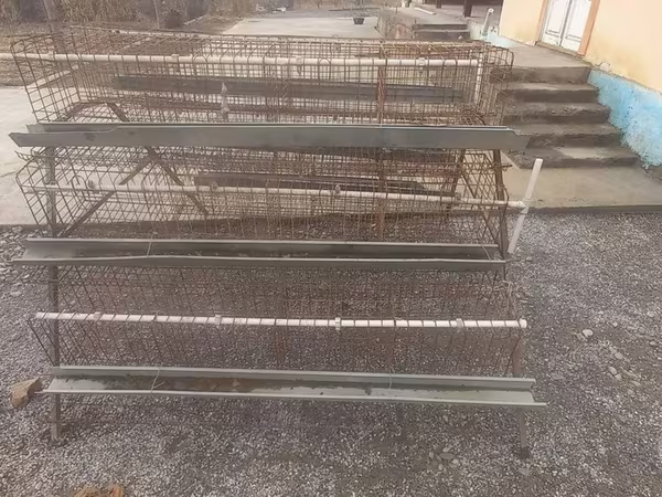 Katak 6 dona taklanib yigiladi