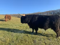 Toro, Highland — foto 2