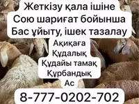 Schaf, Krasnoyarsk sheep — Foto 1