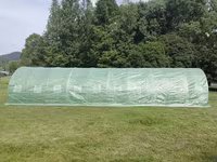 Sera Tip Tunel 10X3X2 M - 5s - livrare / credit / agroteh — foto 3