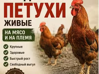 Кучинская юбилейная — фото 1