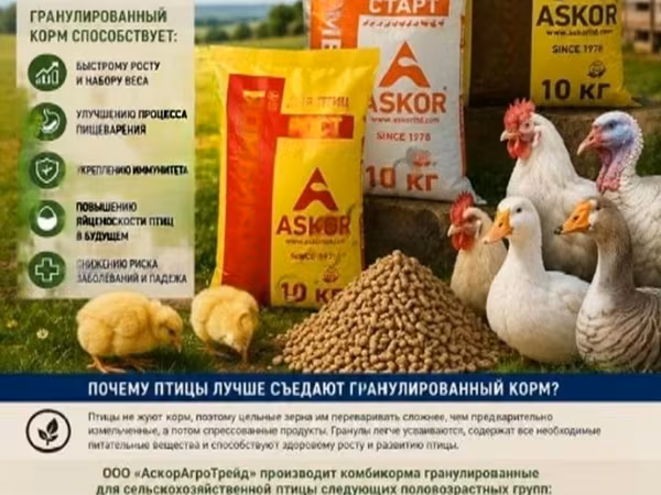 Гранулированный Комбикорм Полноценный для С/Х Птицы(Старт, Рост, Финиш, Несушка)