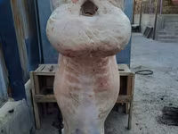 Carnero, Ovejas — foto 6