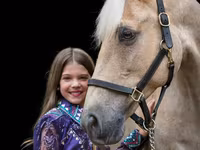 Mare, Palomino — photo 2