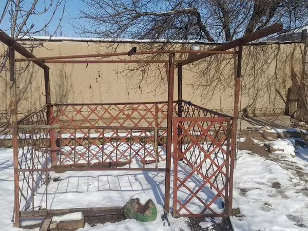 temir qoyxona holati zor