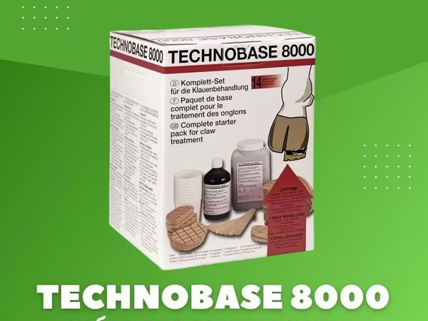 Technobase 8000, Tuyoq uchun