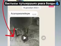 Универсал Дробилка Двигатель 3кВт Молотковые Дробилки зерна — الصورة 4