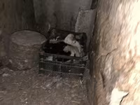 Indias Orientales — foto 5