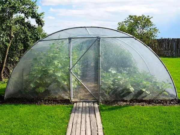 Sera Gradina Profesionala Demetra Italia 12X4.5X2.5M - ie - livrare / credit / agroteh