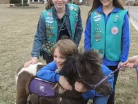 حصان, Miniature horse — الصورة 1