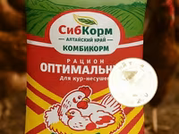 Комбикорм для КУР-НЕСУШЕК — фото 1
