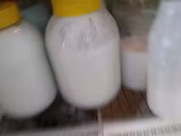 Cabra, Cabras — foto 4