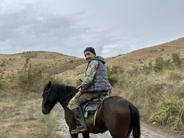 حصان, Azerbaijan horse
