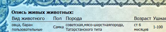 Tatarstan sheep
