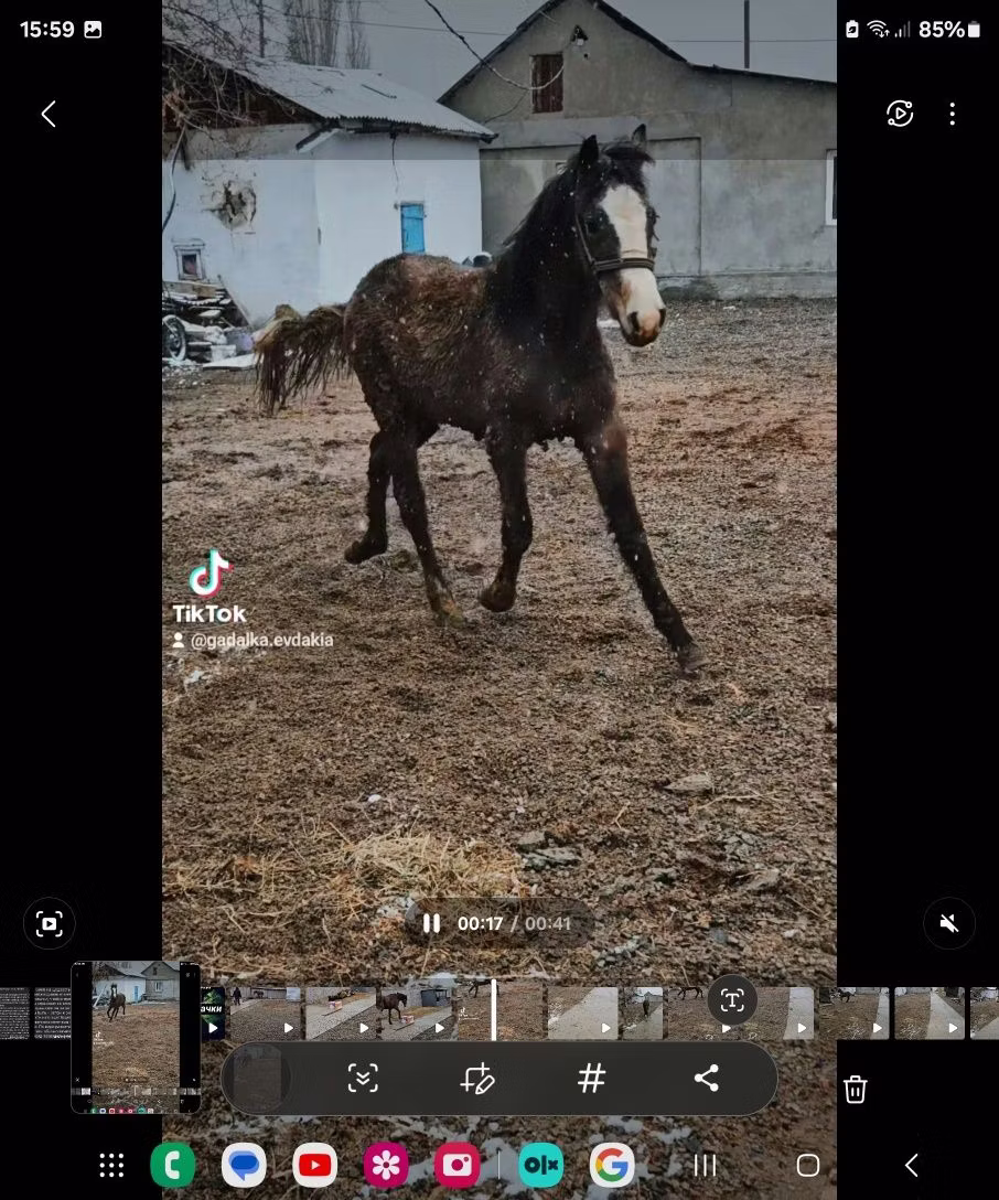 Orlov Trotter