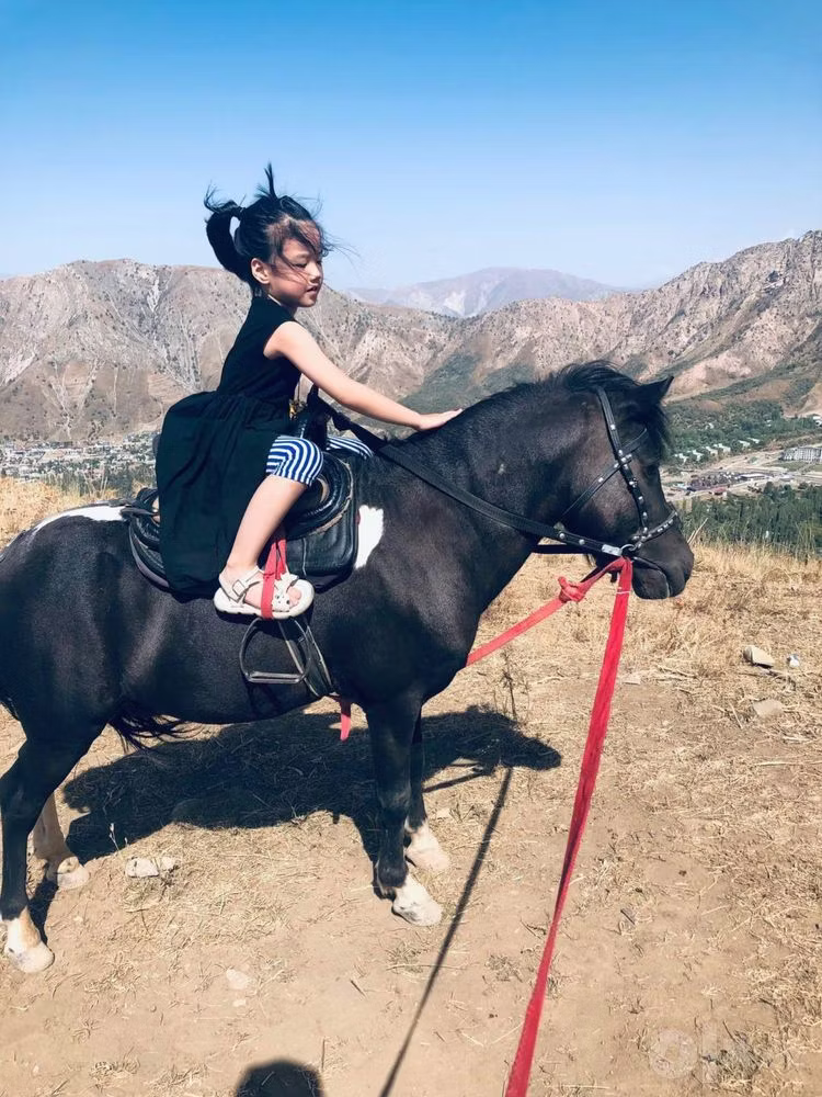 Shetland Pony
